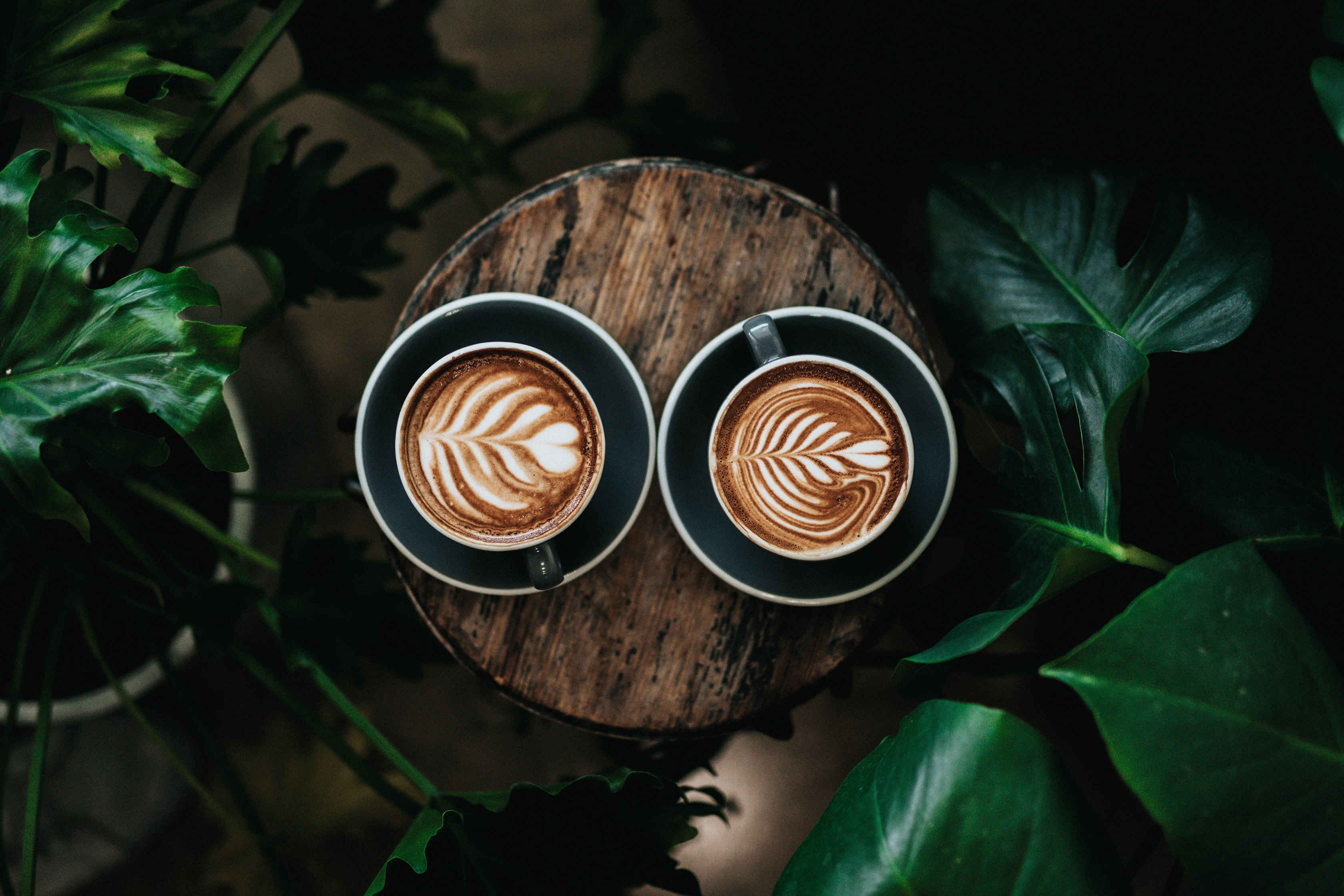 coffee